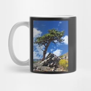 A Lonely Pine Tree Mug